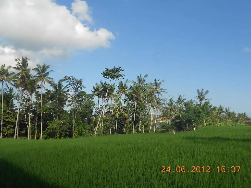 Villa Jasmine B&B Ubud  2*, Ubud (Bali)