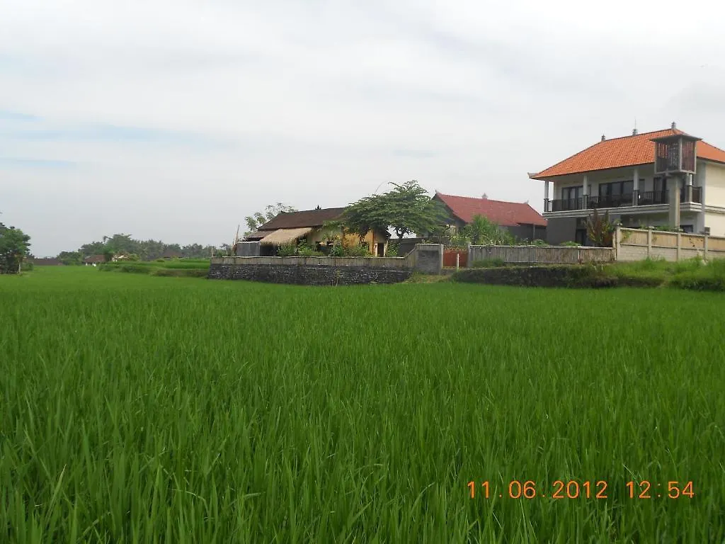 Holiday park Villa Jasmine B&B Ubud